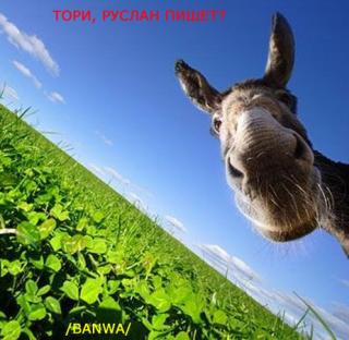 http://upforme.ru/uploads/0000/15/0f/12392-1.jpg