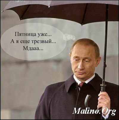 http://upforme.ru/uploads/0000/15/0f/353824-1-f.jpg