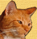 http://upforme.ru/uploads/0000/15/84/1627-1.gif