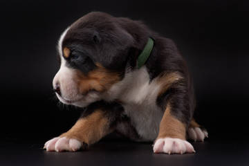http://upforme.ru/uploads/0000/16/72/2223/t177490.jpg