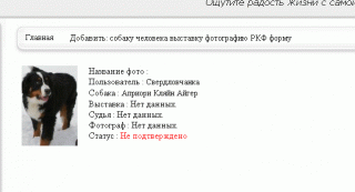 http://upforme.ru/uploads/0000/16/72/8208-1.gif
