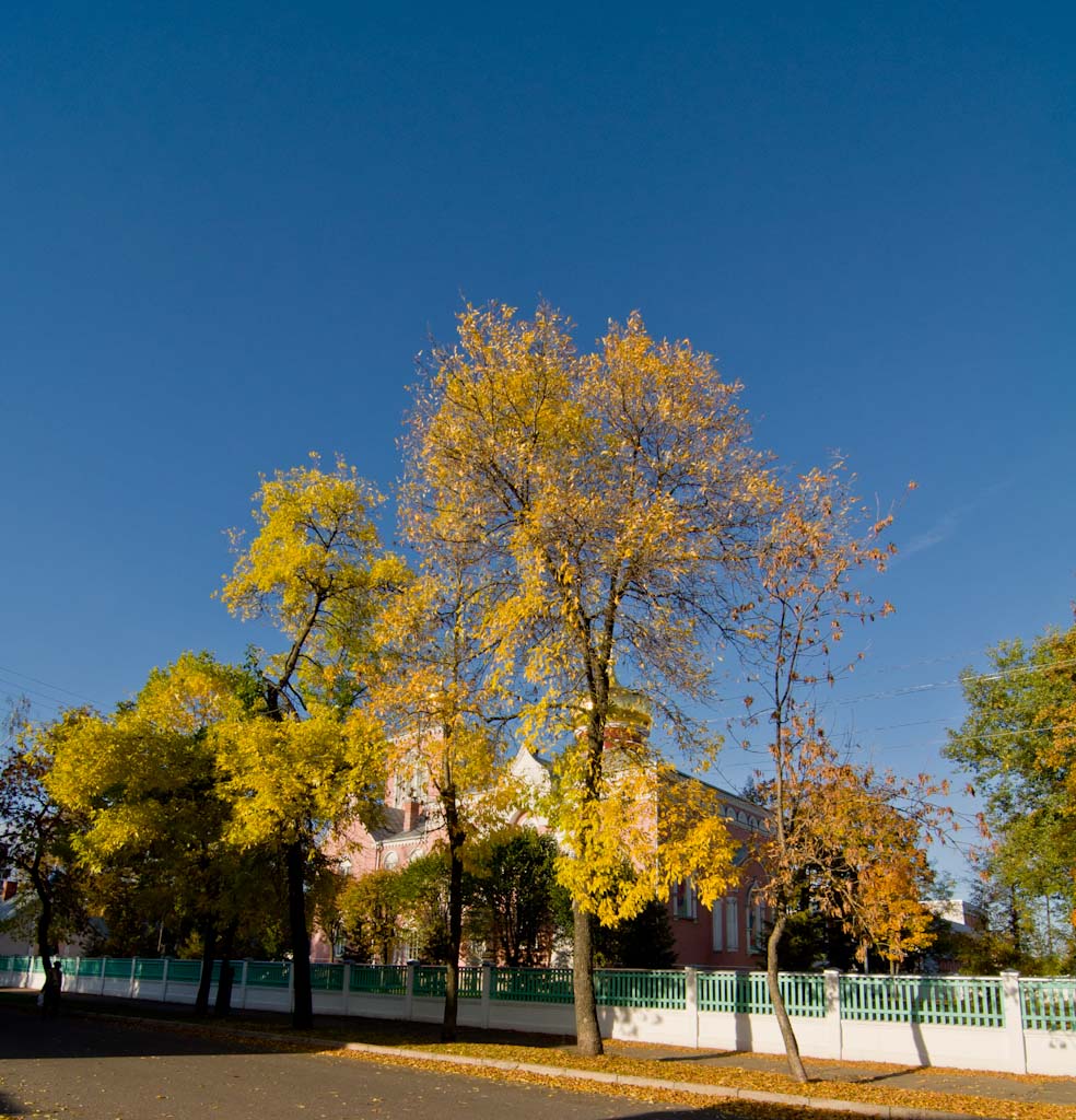 http://upforme.ru/uploads/0000/17/36/877-5-f.jpg