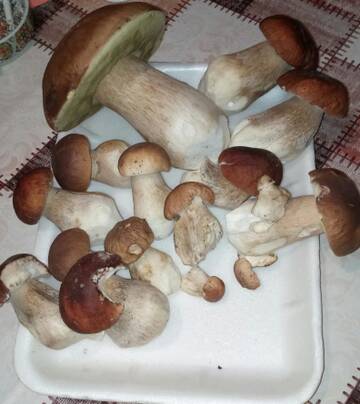 http://upforme.ru/uploads/0000/18/53/15/t15054.jpg