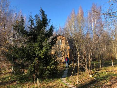 http://upforme.ru/uploads/0000/18/53/19/t312128.jpg