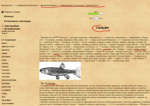http://upforme.ru/uploads/0000/18/53/19/t455624.jpg