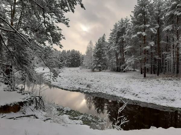 http://upforme.ru/uploads/0000/18/53/49/t233293.jpg