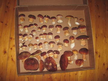 http://upforme.ru/uploads/0000/18/53/97/t723618.jpg