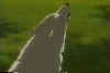 http://upforme.ru/uploads/0000/18/e7/15958-2.gif