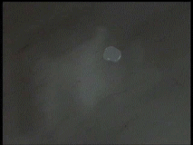 http://upforme.ru/uploads/0000/18/e7/15959-1.gif