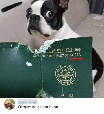http://upforme.ru/uploads/0000/19/18/209/t14861.jpg