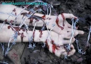 http://upforme.ru/uploads/0000/1c/2f/10287-1.jpg
