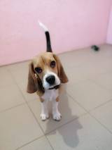 http://upforme.ru/uploads/0000/1c/6a/11740/t45267.jpg