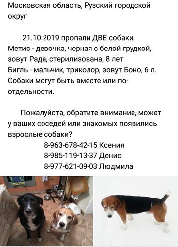 http://upforme.ru/uploads/0000/1c/6a/11792/t729182.jpg
