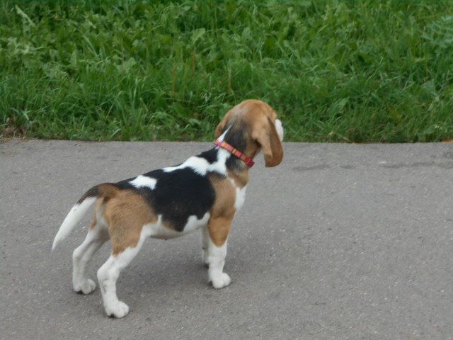 http://upforme.ru/uploads/0000/1c/6a/1953/363297.jpg