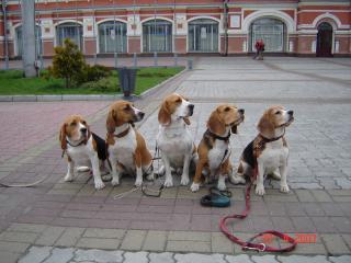 http://upforme.ru/uploads/0000/1c/6a/20962-1.jpg
