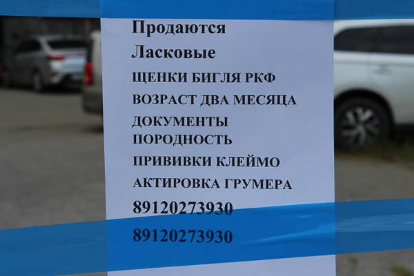 http://upforme.ru/uploads/0000/1c/6a/2372/t682832.jpg
