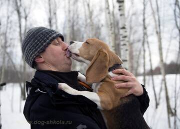 http://upforme.ru/uploads/0000/1c/6a/2550/t141348.jpg