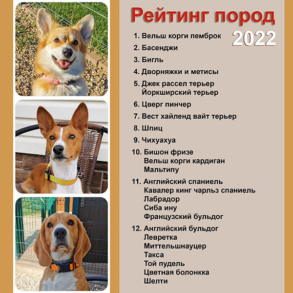 http://upforme.ru/uploads/0000/1c/6a/6673/805121.jpg