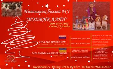 http://upforme.ru/uploads/0000/1c/6a/9805/t97212.jpg