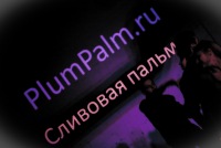 http://upforme.ru/uploads/0000/1e/8f/9064-1.jpg