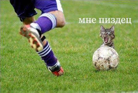 http://upforme.ru/uploads/0000/20/be/6927-1-f.jpg