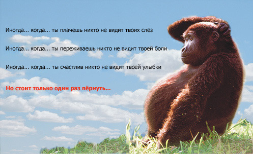 http://upforme.ru/uploads/0000/21/66/2230-1-f.jpg