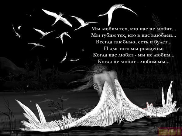 http://upforme.ru/uploads/0000/21/66/904-1-f.jpg