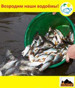 http://upforme.ru/uploads/0000/22/35/21/t134493.jpg