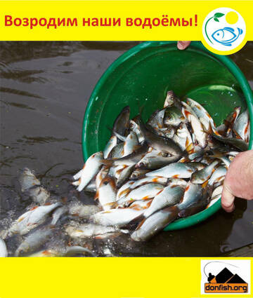 http://upforme.ru/uploads/0000/22/35/21/t142646.jpg