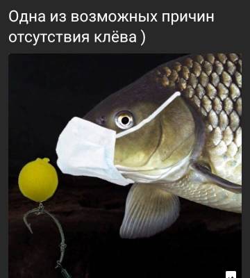 http://upforme.ru/uploads/0000/22/35/4411/t65935.jpg