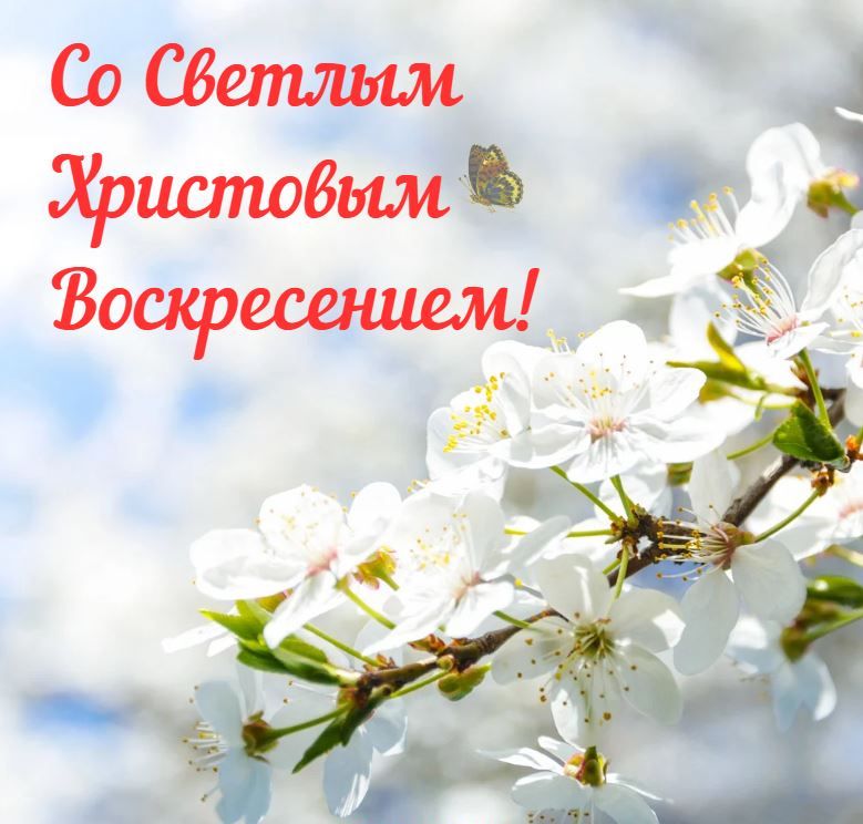 http://upforme.ru/uploads/0000/25/b8/1743/865224.jpg