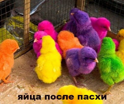 http://upforme.ru/uploads/0000/25/b8/1743/866472.jpg