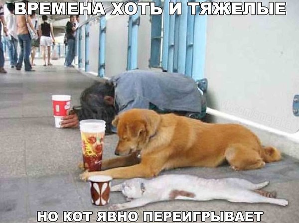 http://upforme.ru/uploads/0000/25/b8/1743/90440.jpg