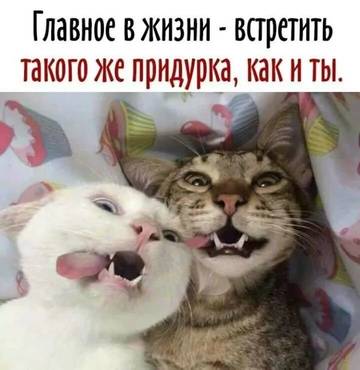 http://upforme.ru/uploads/0000/25/b8/1743/t22017.jpg