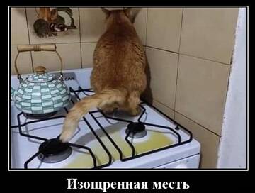 http://upforme.ru/uploads/0000/25/b8/1743/t373626.jpg