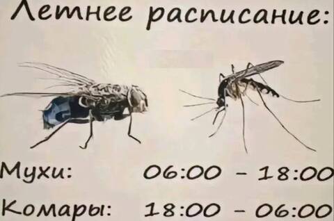 http://upforme.ru/uploads/0000/25/b8/1743/t619706.jpg