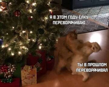 http://upforme.ru/uploads/0000/25/b8/1743/t707290.jpg