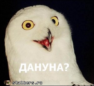 http://upforme.ru/uploads/0000/26/90/9187-1-f.jpg
