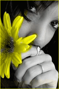 http://upforme.ru/uploads/0000/26/b8/31556-1-f.gif