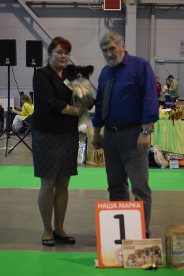 http://upforme.ru/uploads/0000/27/eb/1848/t47493.jpg