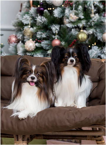 http://upforme.ru/uploads/0000/27/eb/1848/t79329.jpg
