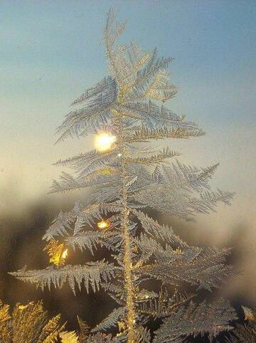 http://upforme.ru/uploads/0000/2a/c0/1959/t988604.jpg