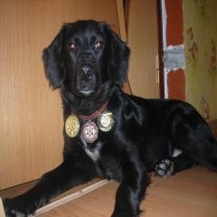 http://upforme.ru/uploads/0000/2a/e1/6382-3.jpg