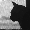 http://upforme.ru/uploads/0000/2b/38/219-1.gif