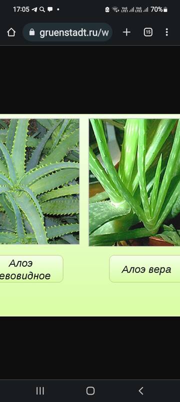 http://upforme.ru/uploads/0000/33/e8/239/t17127.jpg