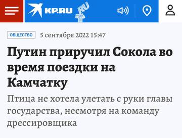 http://upforme.ru/uploads/0000/33/e8/239/t661903.jpg