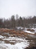 http://upforme.ru/uploads/0000/39/60/233-1.jpg