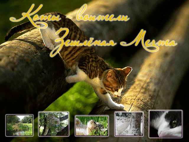 http://upforme.ru/uploads/0000/3f/11/12660-2-f.gif