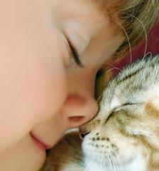 http://upforme.ru/uploads/0000/66/f5/3685-1.jpg