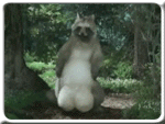 http://upforme.ru/uploads/0000/67/ee/912-1.gif